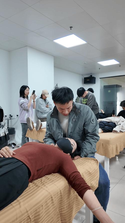 从理论到实践 师夫子科技如何让中医学习更接地气